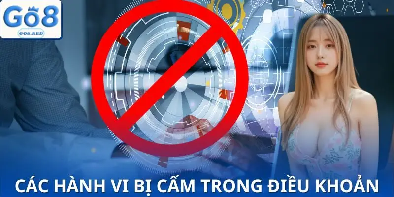 +3 Điều Khoản Điều Kiện Quan Trọng Tân Thủ Không Nên Bỏ Qua 4 Những việc làm vi phạm dẫn đến mất quyền lợi